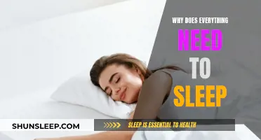 The Science of Sleep: Why We Need It