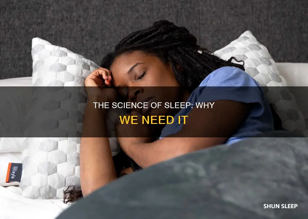 why does everything need to sleep