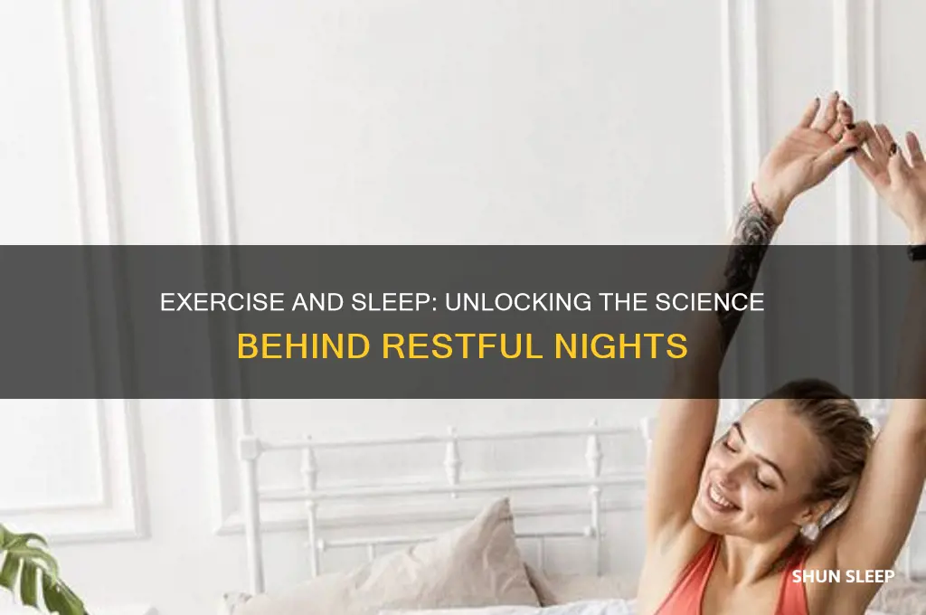 why does exercise help us sleep better answers