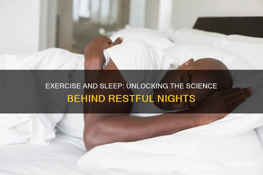 why does exercise help us sleep better