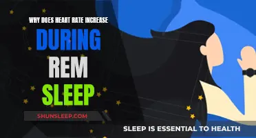 REM Sleep and the Racing Heart Mystery