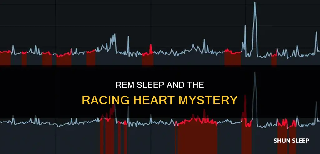 why does heart rate increase during rem sleep
