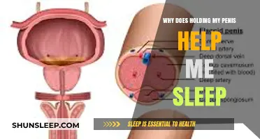 Why Holding Your Penis May Improve Sleep Quality: Exploring the Science