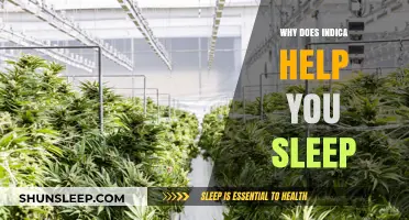 Indica's Sleep-Inducing Effects: Unlocking Restful Nights Naturally