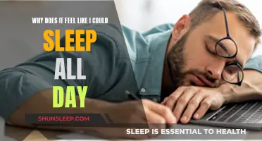 Daytime Sleepiness: Why Do I Feel So Sleepy?