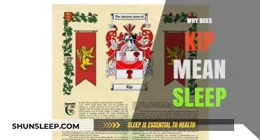 The Etymology of Kip: Sleep and Its Surprising History