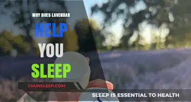 Lavender's Soothing Power: Unlocking Better Sleep Naturally and Easily