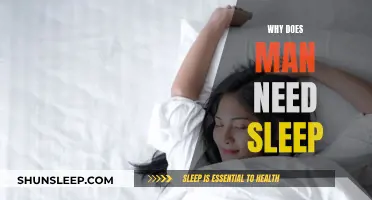 Sleep: A Biological Necessity for Human Functioning