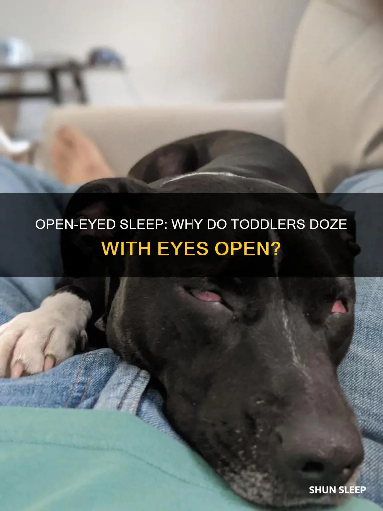 why does my 1 year old sleep with eyes open