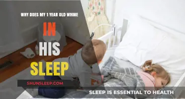 Understanding Your Toddler's Whining During Sleep