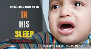 Understanding Your Toddler's Sleep: Why the Tears?