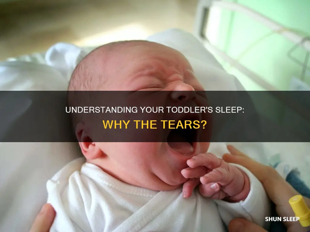 why does my 14 month old cry in his sleep