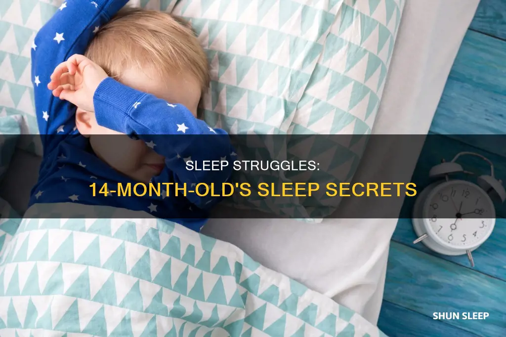 why does my 14 month old not sleep