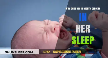 Understanding Your Toddler's Sleep: Why the Tears?