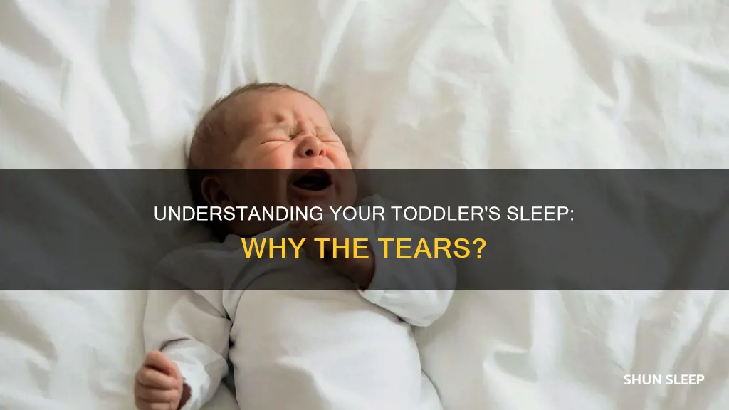 why does my 16 month old cry in her sleep