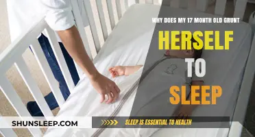 Understanding Your Toddler's Grunting Sleep Habit