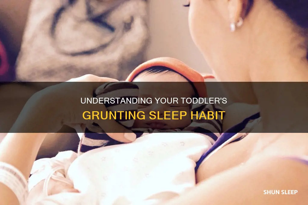 why does my 17 month old grunt herself to sleep