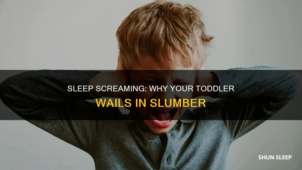 why does my 18 month old scream in his sleep