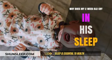 Understanding Your Baby's Sleep: Why the Crying?
