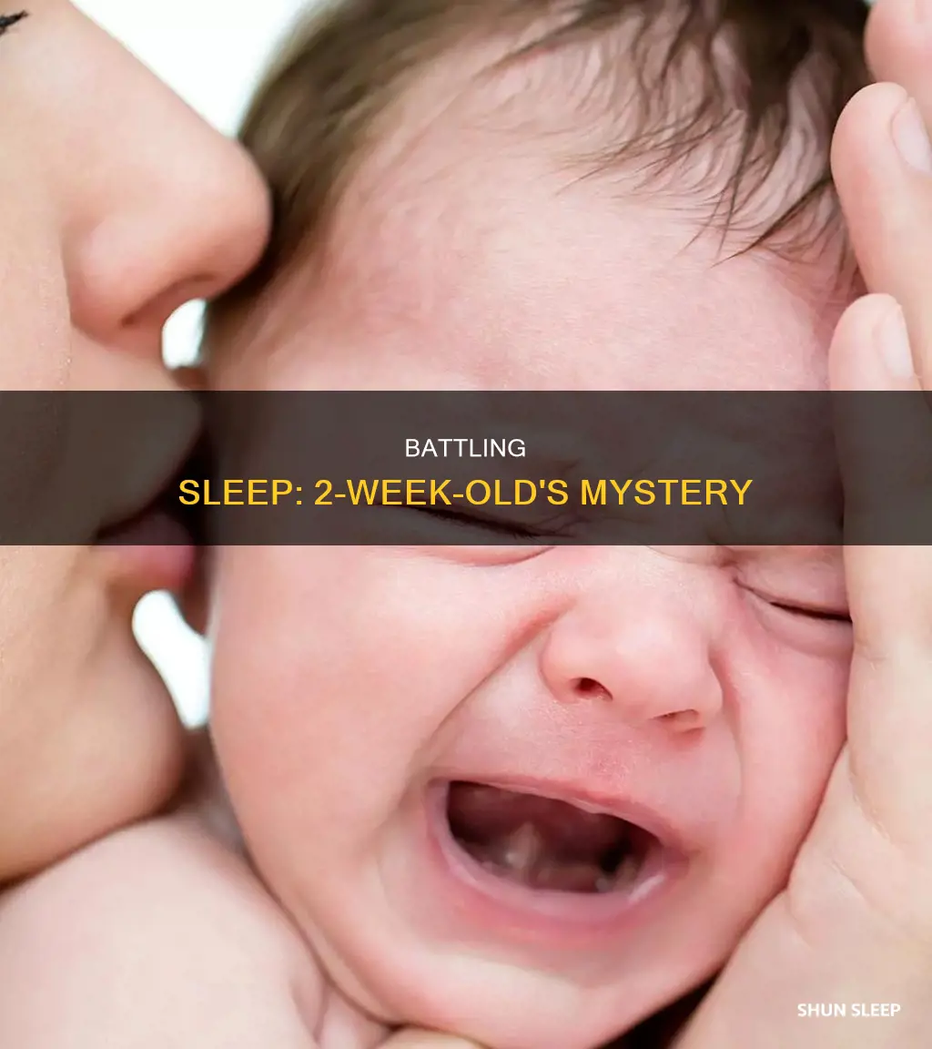 why does my 2 week old fight sleep