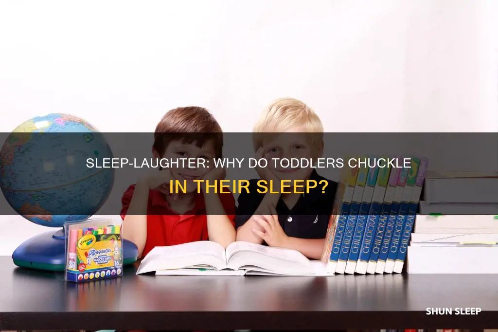 why does my 2 year old laugh in his sleep