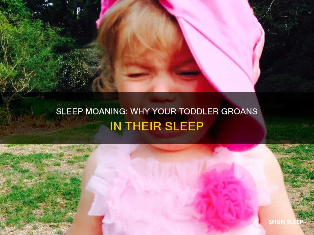 why does my 2 year old moans in his sleep