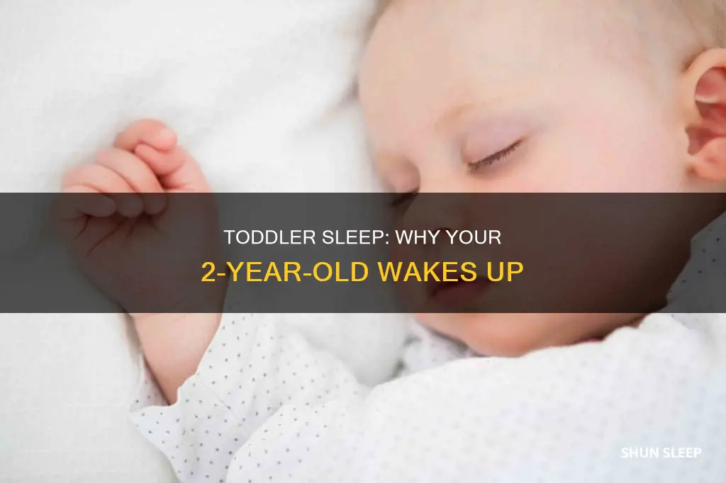 why does my 2 year old not sleep through