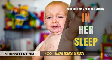 Sleep Screaming: Why Does My Toddler Scream?