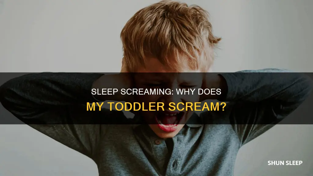 why does my 2 year old scream in her sleep
