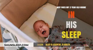 Understanding Your Toddler's Whining During Sleep