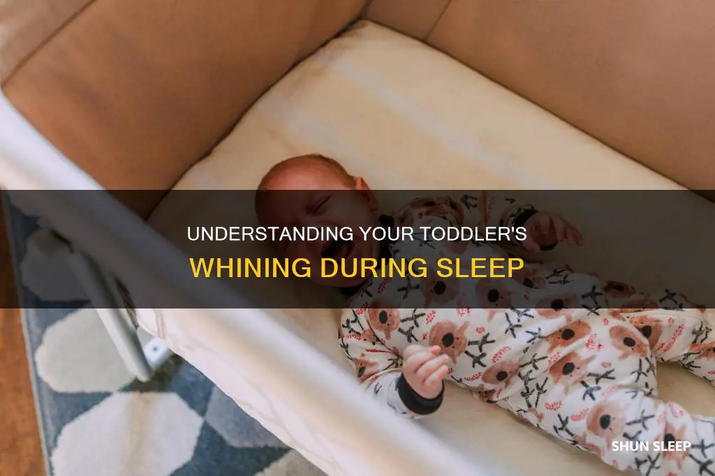 why does my 2 year old whine in his sleep