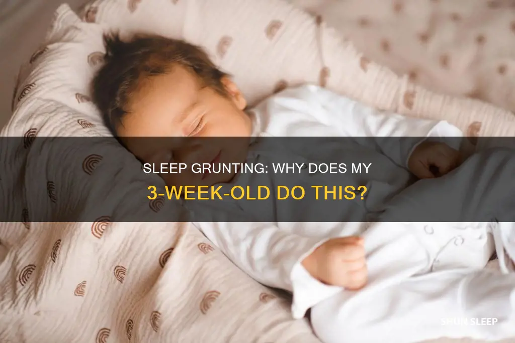why does my 3 week old grunt in her sleep
