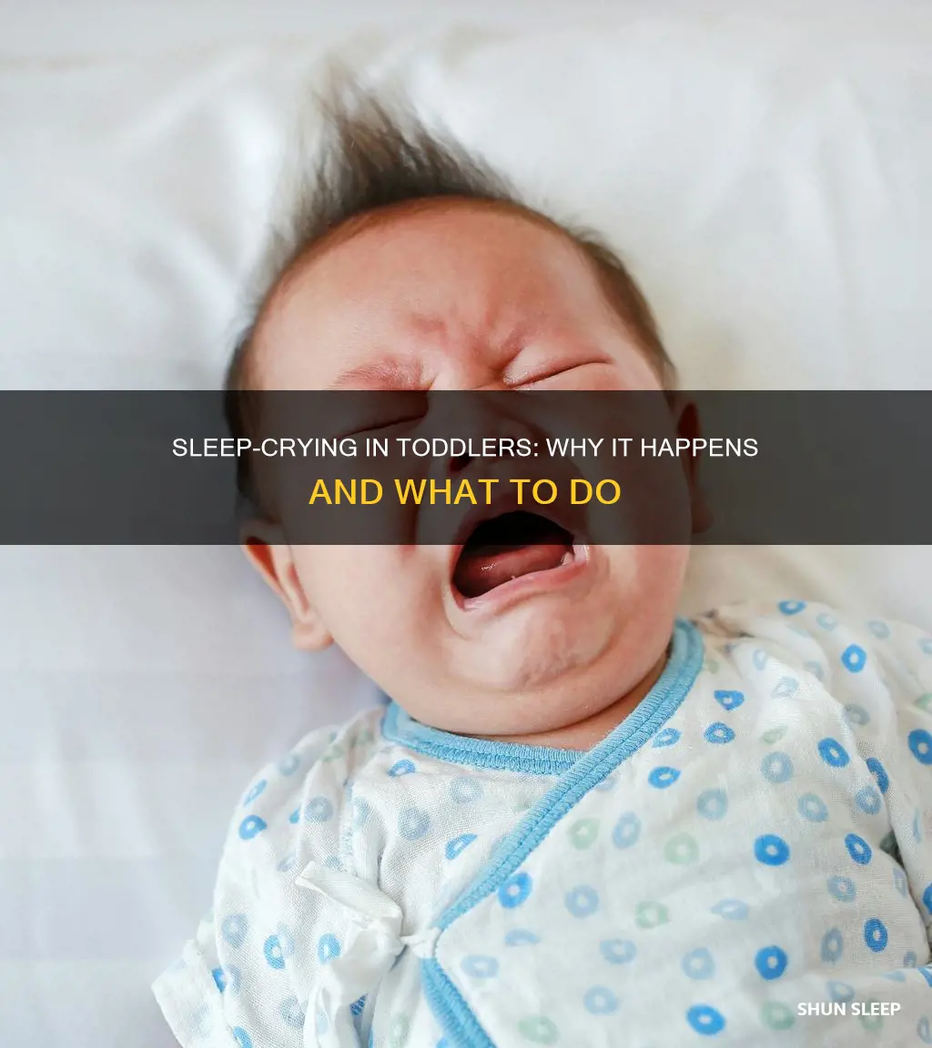 why does my 4 year old cry in his sleep