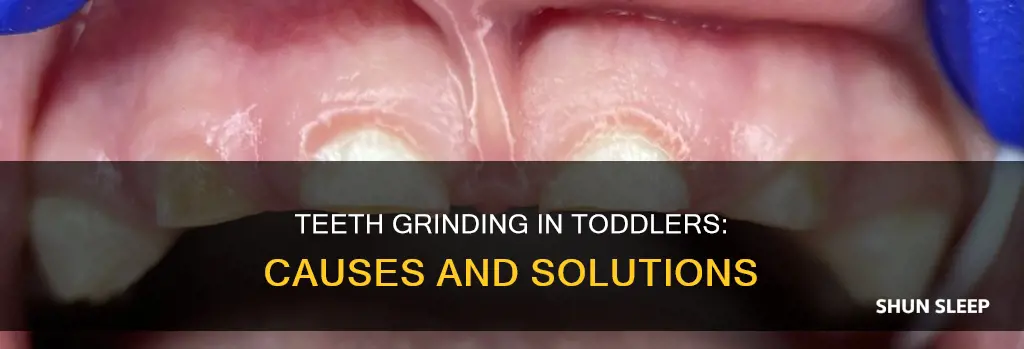 why does my 4 year old grind teeth in sleep