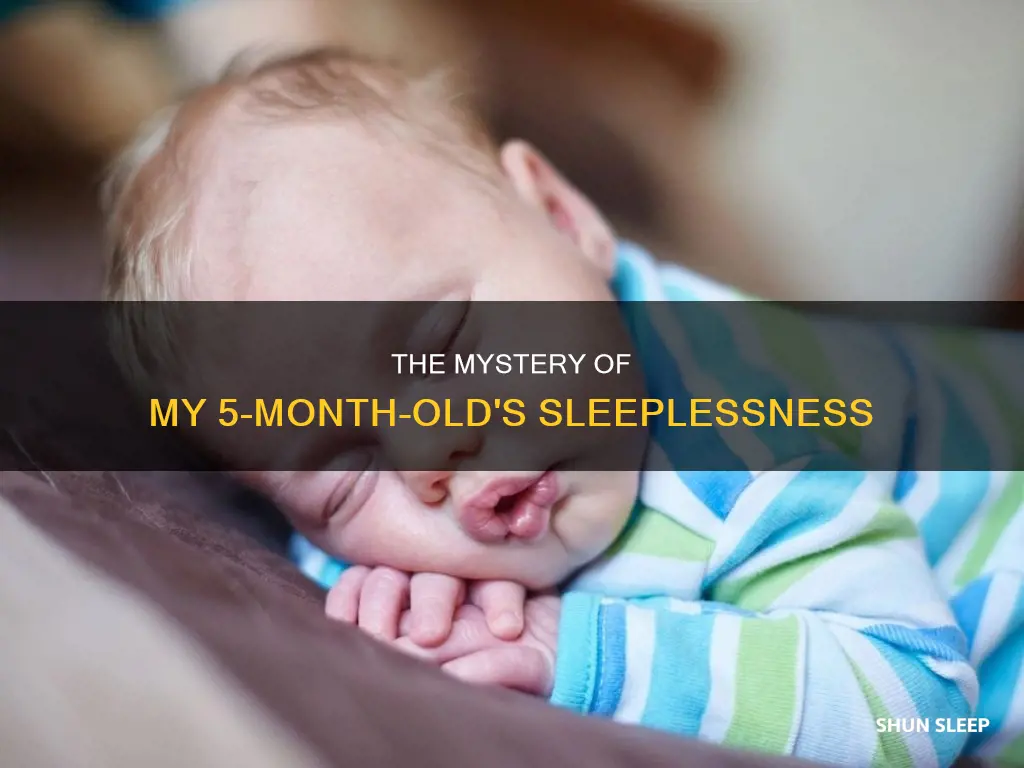 why does my 5 month old never sleep