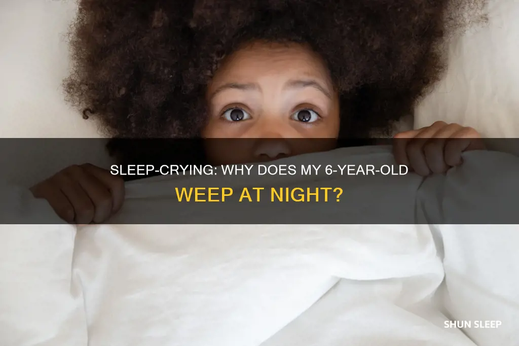 why does my 6 year old cry in his sleep