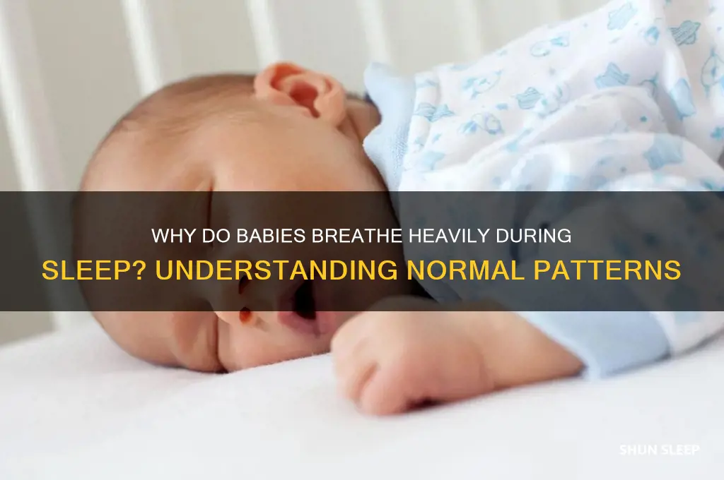 why does my baby breathe heavy when sleeping