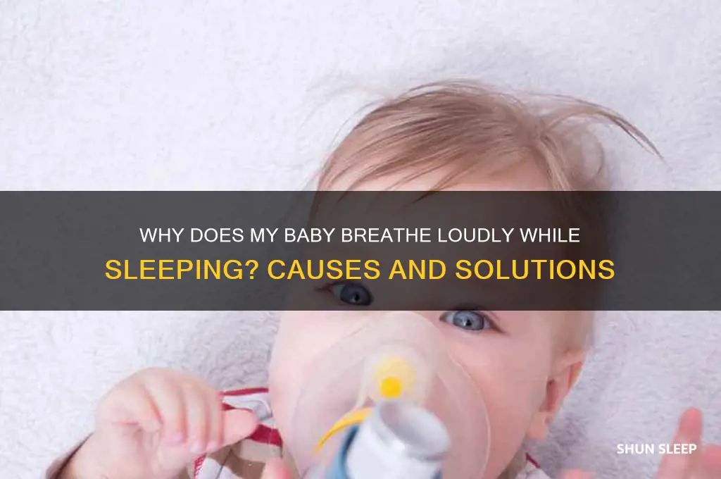 why does my baby breathe loud while sleeping