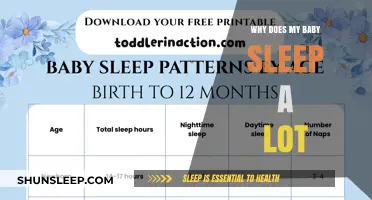 Understanding Your Baby's Sleep Patterns: Why They Sleep So Much