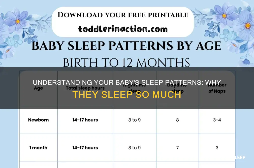 why does my baby sleep a lot