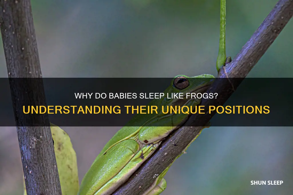 why does my baby sleep like a frog