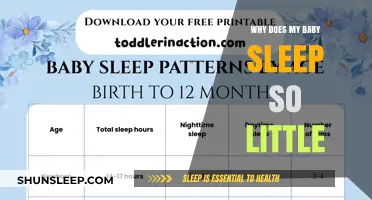 Understanding Your Baby's Sleep Patterns: Why So Little Rest?