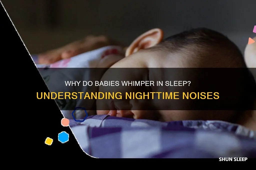 why does my baby whimper in sleep
