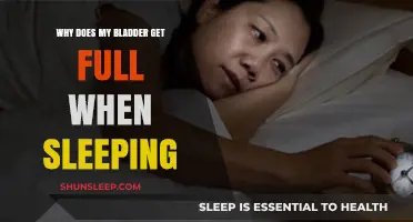 Why Your Bladder Fills Up During Sleep: Causes and Solutions