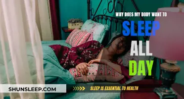 Sleepyhead Syndrome: Why Your Body Wants to Snooze All Day