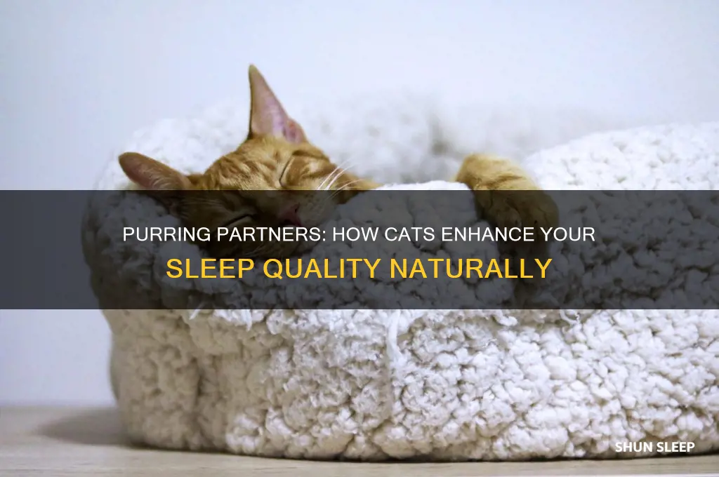 why does my cat help me sleep