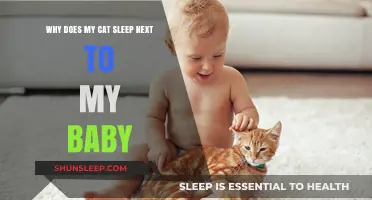 Why Cats Choose to Sleep Next to Babies: A Heartwarming Bond