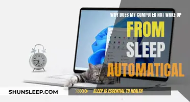 Troubleshooting Computer Sleep Mode Issues