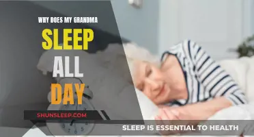 Grandma's Sleep: Understanding Excessive Daytime Sleepiness in Elderly