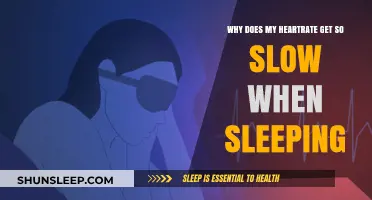 Why Your Heart Rate Slows Down During Sleep: Understanding Resting BPM